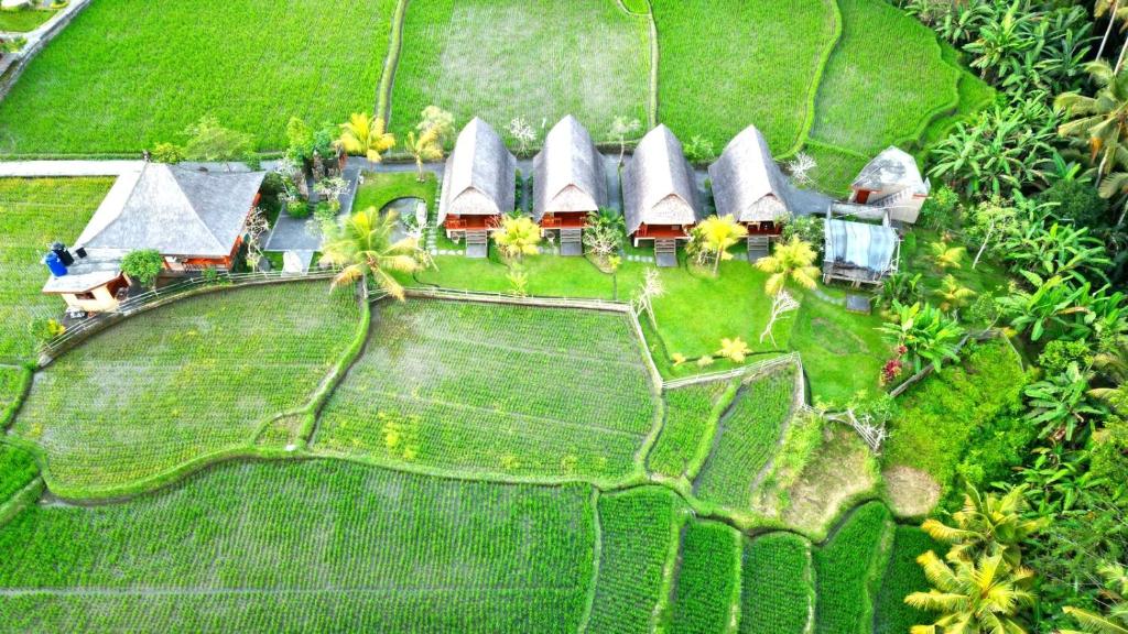 乌布Pondok Gandalangu Ubud-Dikelilingi Hamparan Sawah的享有花园房屋的空中景致