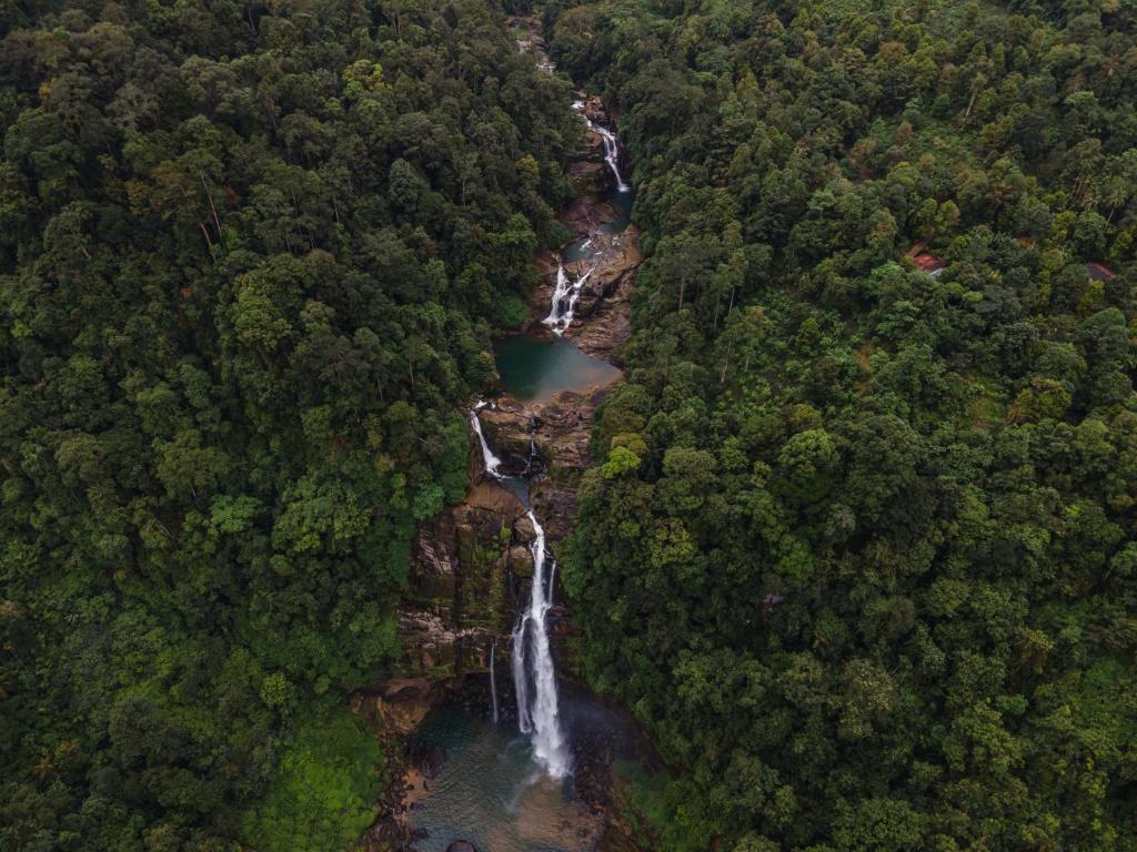 GinigathenaArsulana Eco Lodge & Spa的森林瀑布的空中景观