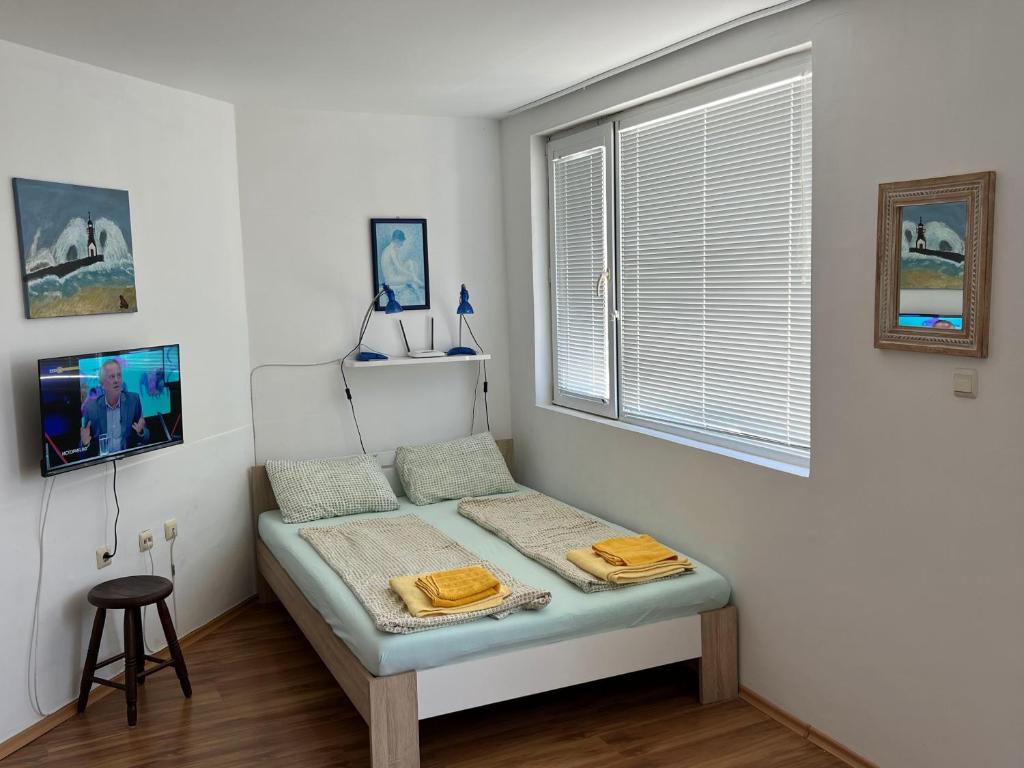 帕莫瑞STUDIO - SOLNA POMORIE的一间位于客房角落的带一张床的房间