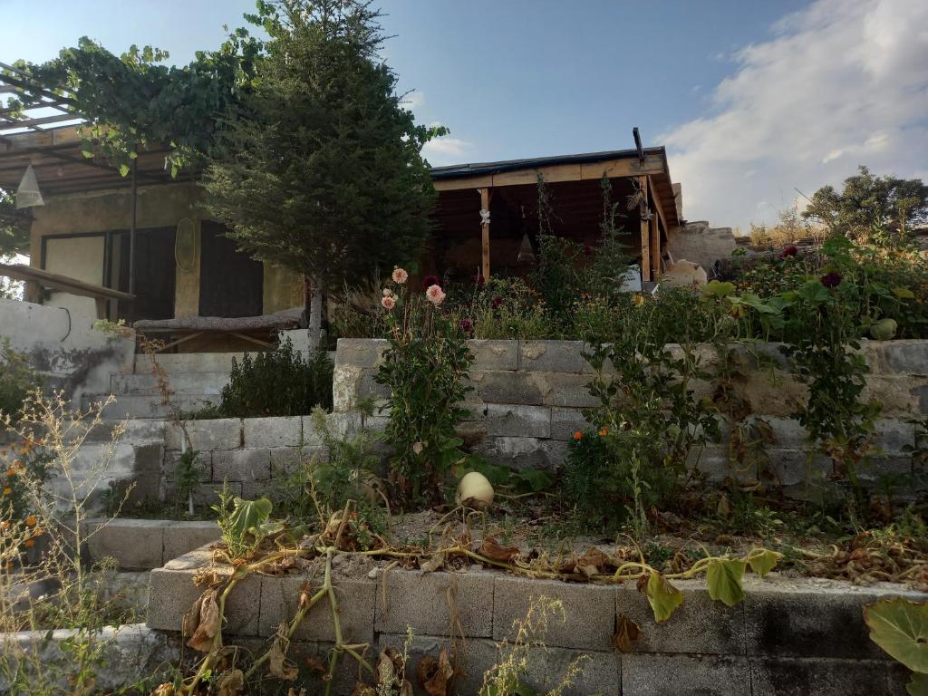 于尔居普CAVE HOUSE(KIR EVİ)的房屋前的花园