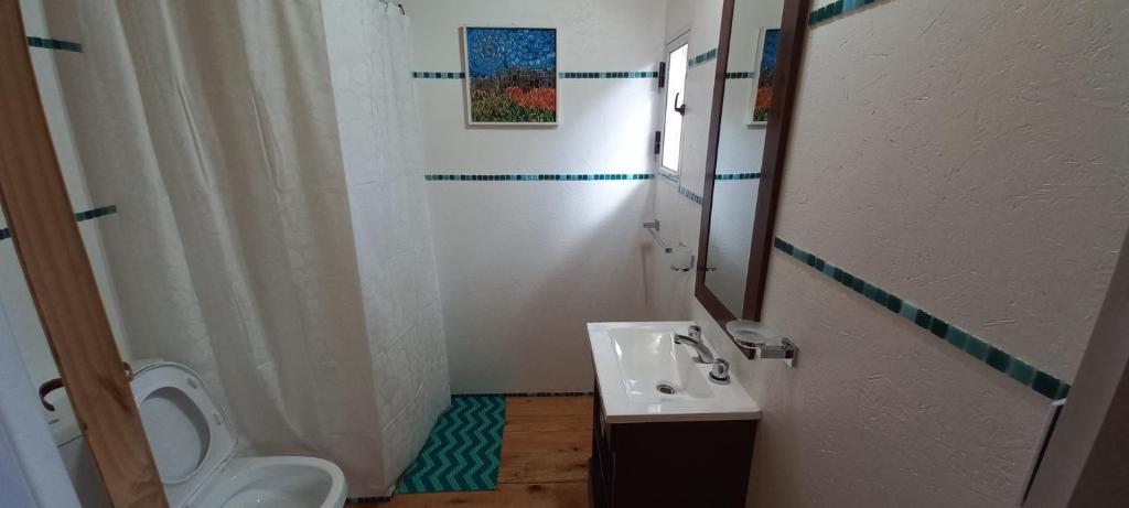 卡皮亚德尔德尔蒙特Domo Cielos del Uritorco的一间带卫生间和水槽的浴室