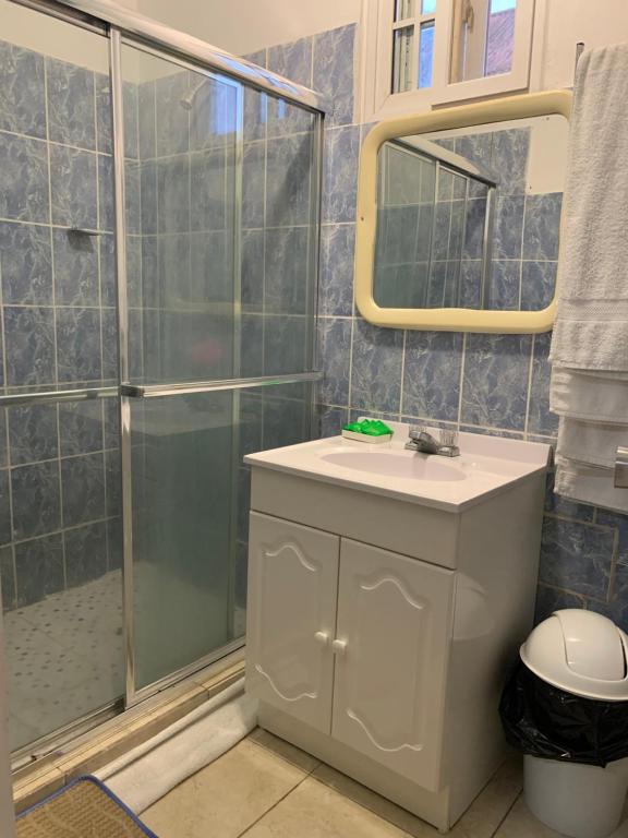 圣地亚哥Black Lion Inn的带淋浴、盥洗盆和镜子的浴室