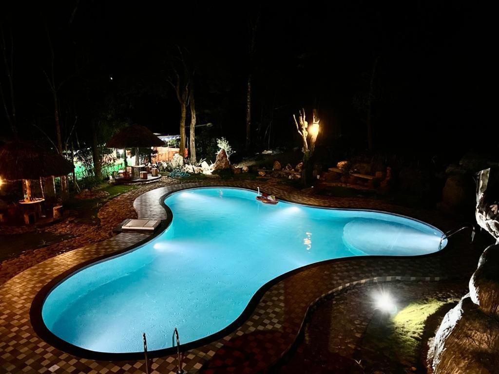 ChegātPugmarks Jungle Lodge的夜间大型蓝色游泳池