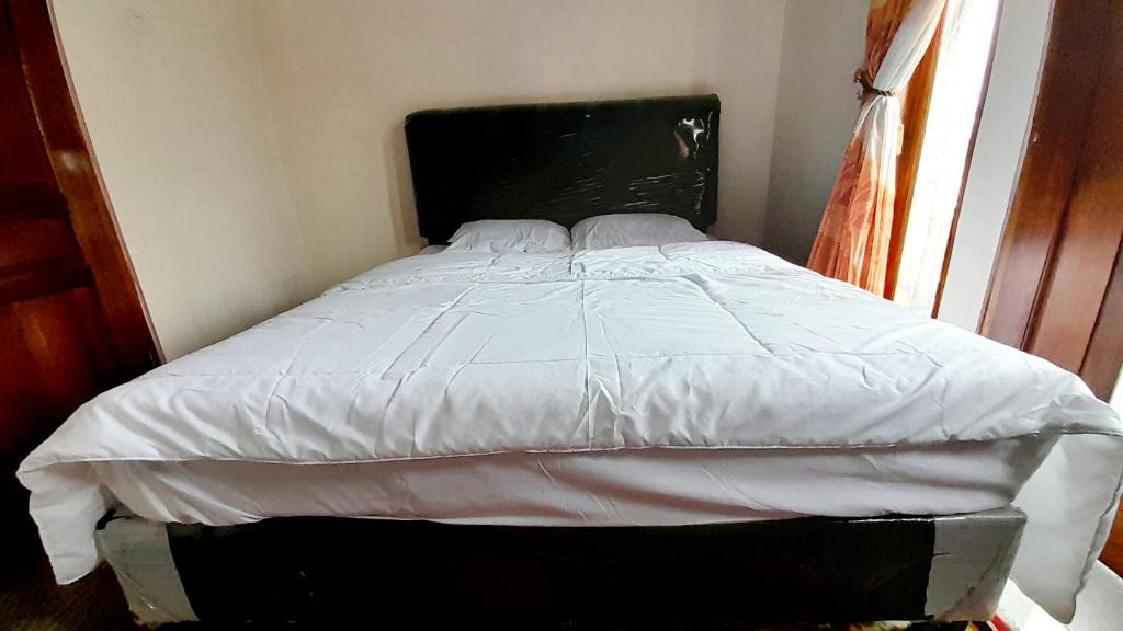 迪昂Homestay Merpati Dieng Syariah RedPartner的窗户客房内的一张带白色床单的床