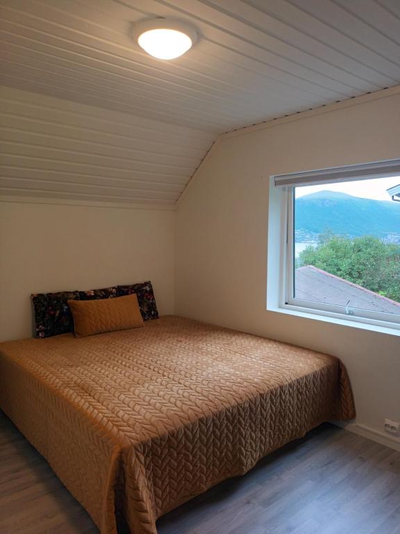 特罗姆瑟Olgas apartment的一间卧室设有一张床和一个窗口