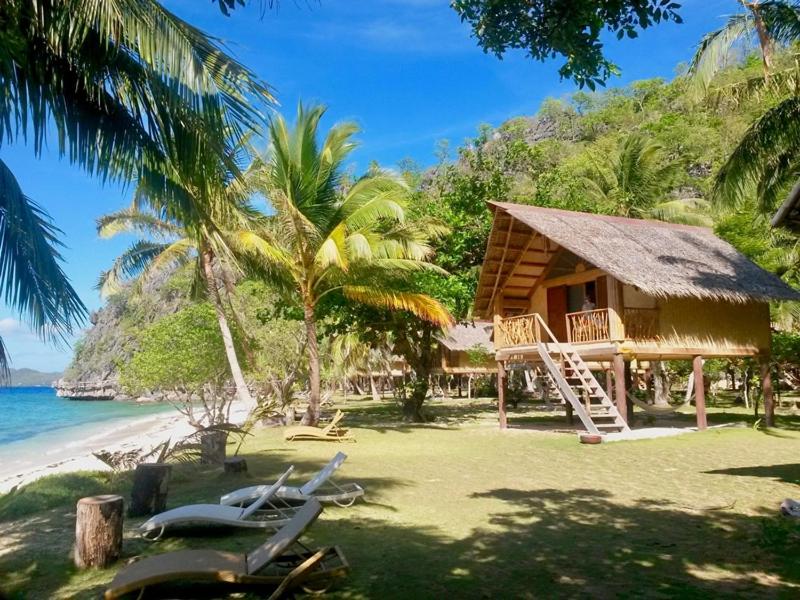 科隆Sangat Island Dive Resort的棕榈树和海洋海滩上的别墅