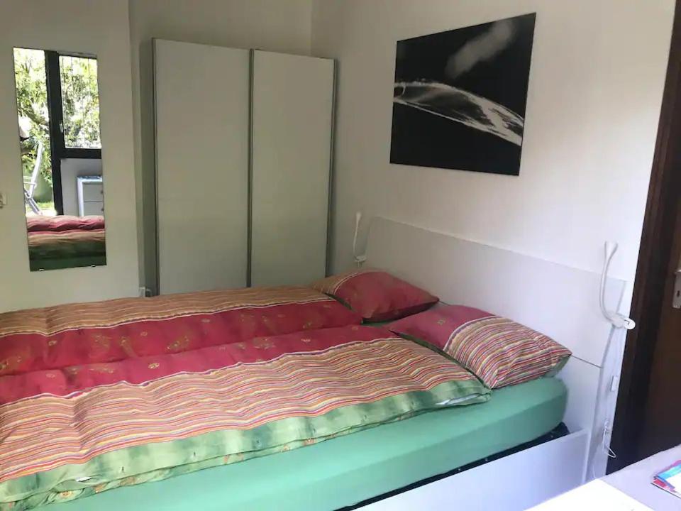 洛迦诺Locarno: camera indipendente in zona residenziale的一间卧室配有一张带大镜子的床