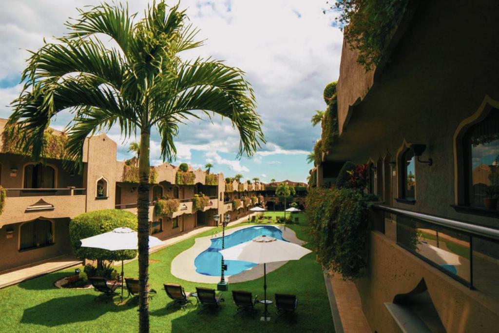 科尔多瓦Suites Layfer, Córdoba, Veracruz, México的棕榈树公寓和游泳池