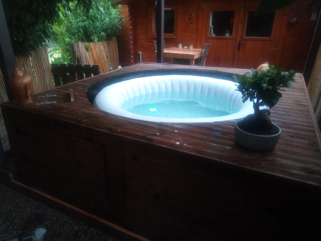 利布尔讷Chalet avec spa à Libourne proche St-Emilion的后院的热水浴池,种植了盆栽植物