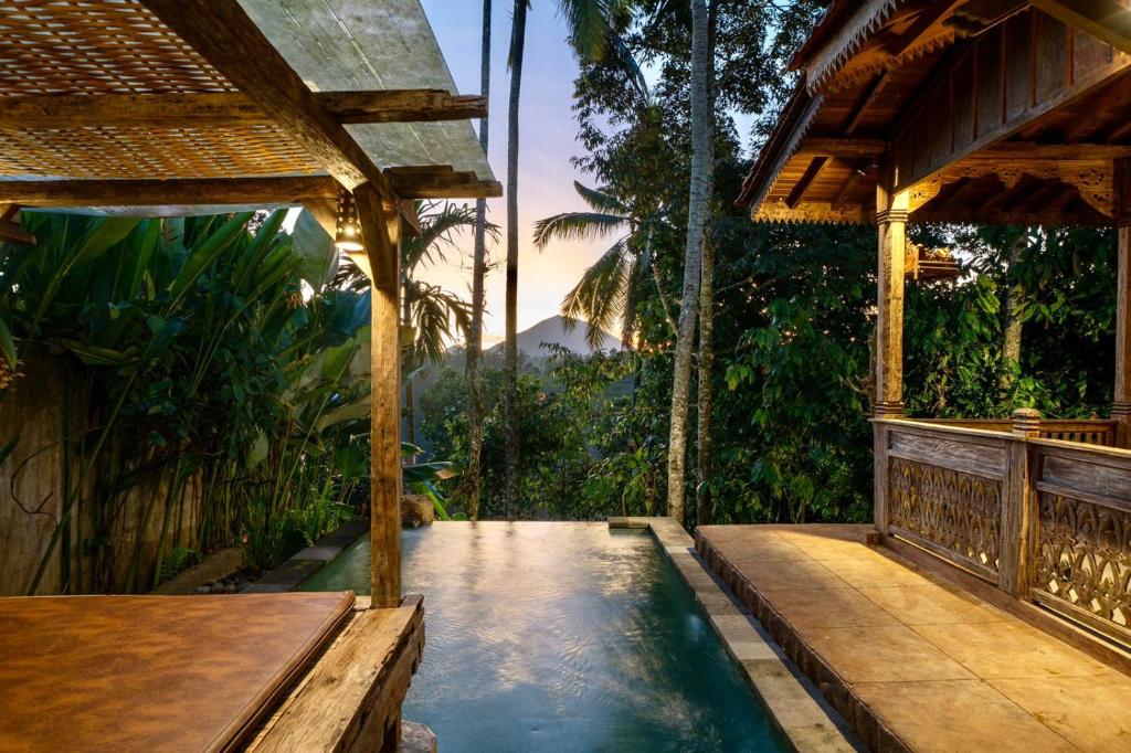 德格拉朗Umah Capung Sebatu Villas的森林中央带游泳池的房子