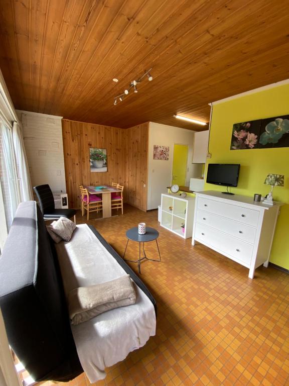 Hastière-par-delàChelonia Mydas的客厅配有沙发和桌子