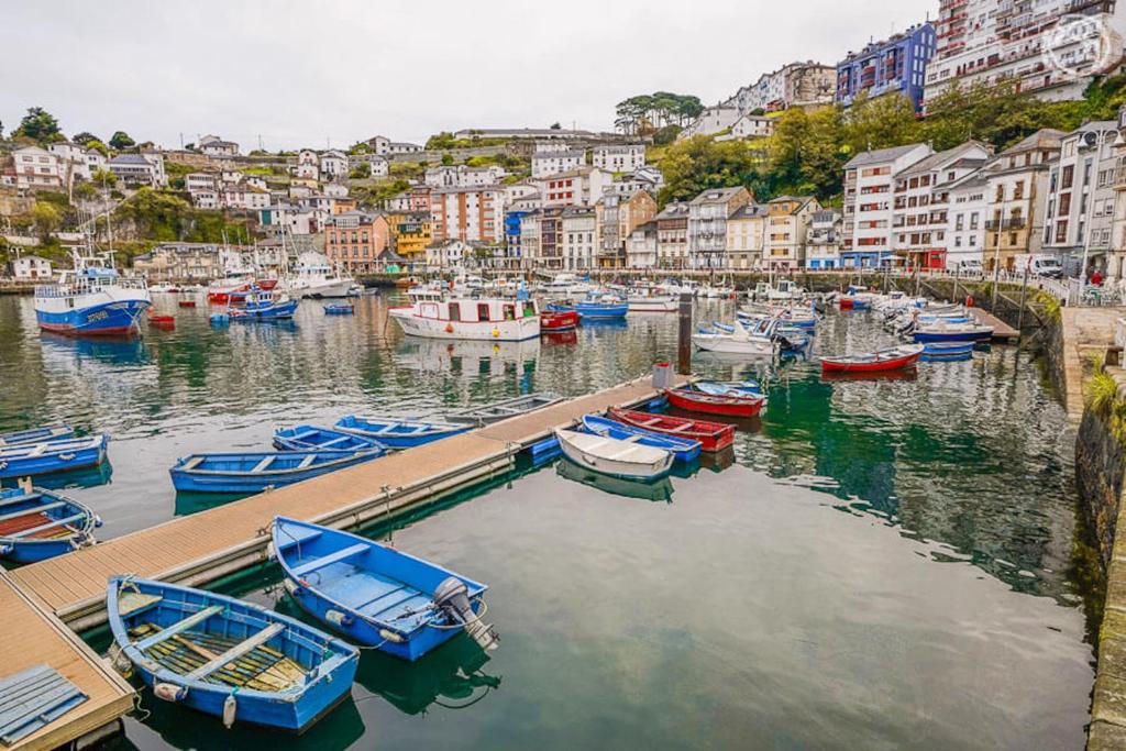 卢阿尔卡Room in Lodge - Pension Oria Luarca Asturias的一群船停靠在港口