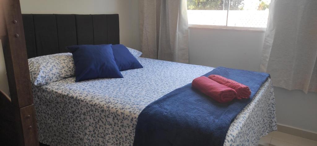 邦热苏斯-达拉帕Casa Duplex Esperança - Ar e Garagem Privativa的床上有2个枕头