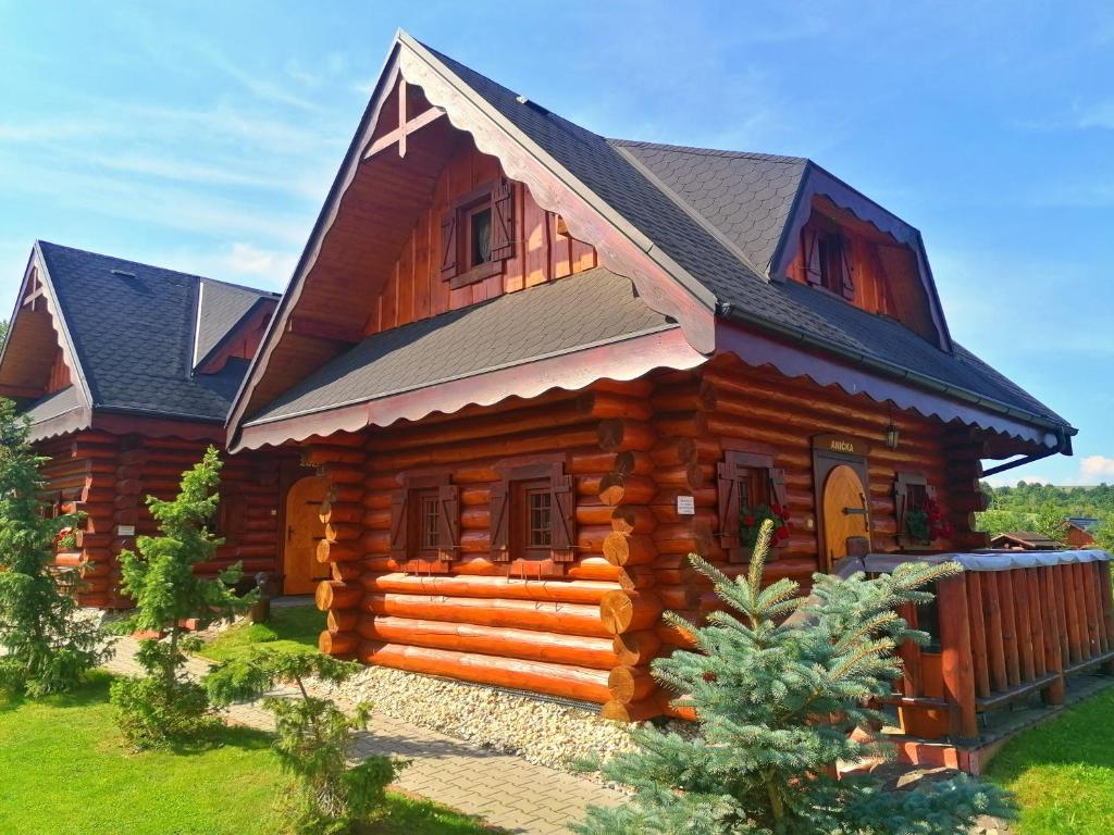 普列维扎Ubytovanie Koliba Pacho - Zrub Anicka的小木屋,设有黑色屋顶