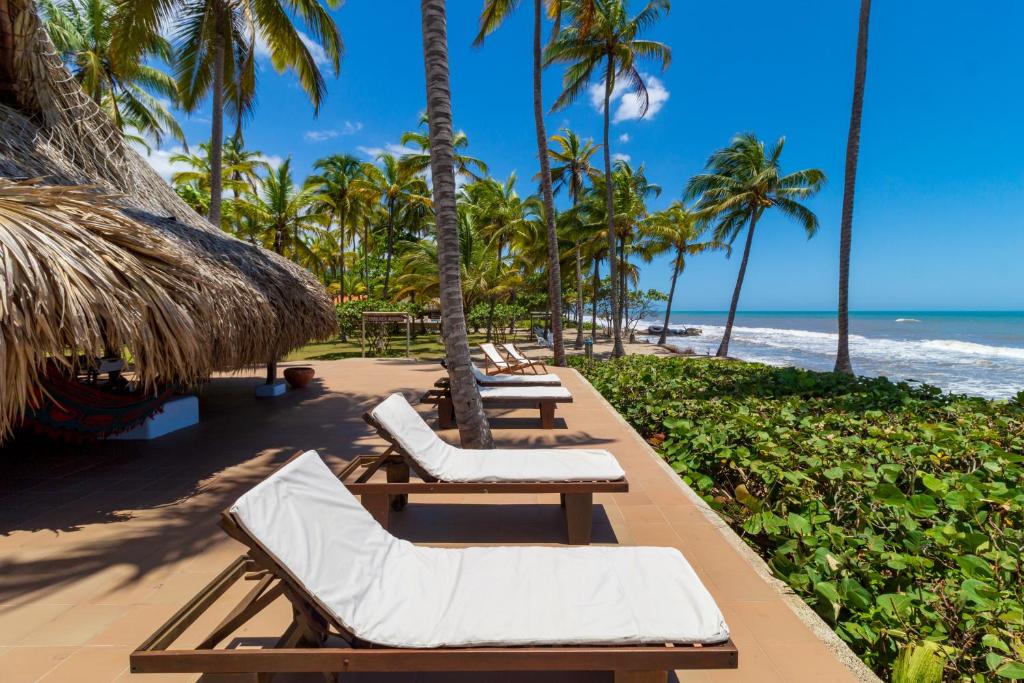 帕洛米诺Hotel Chiniu的海滩上一排躺椅和棕榈树