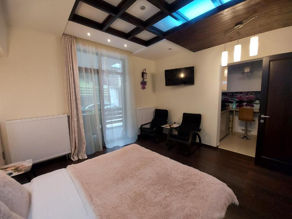 锡纳亚Apartament 13 si 16 in Oxygen Residence Sinaia的一间卧室配有一张床、一张桌子和一个窗户。
