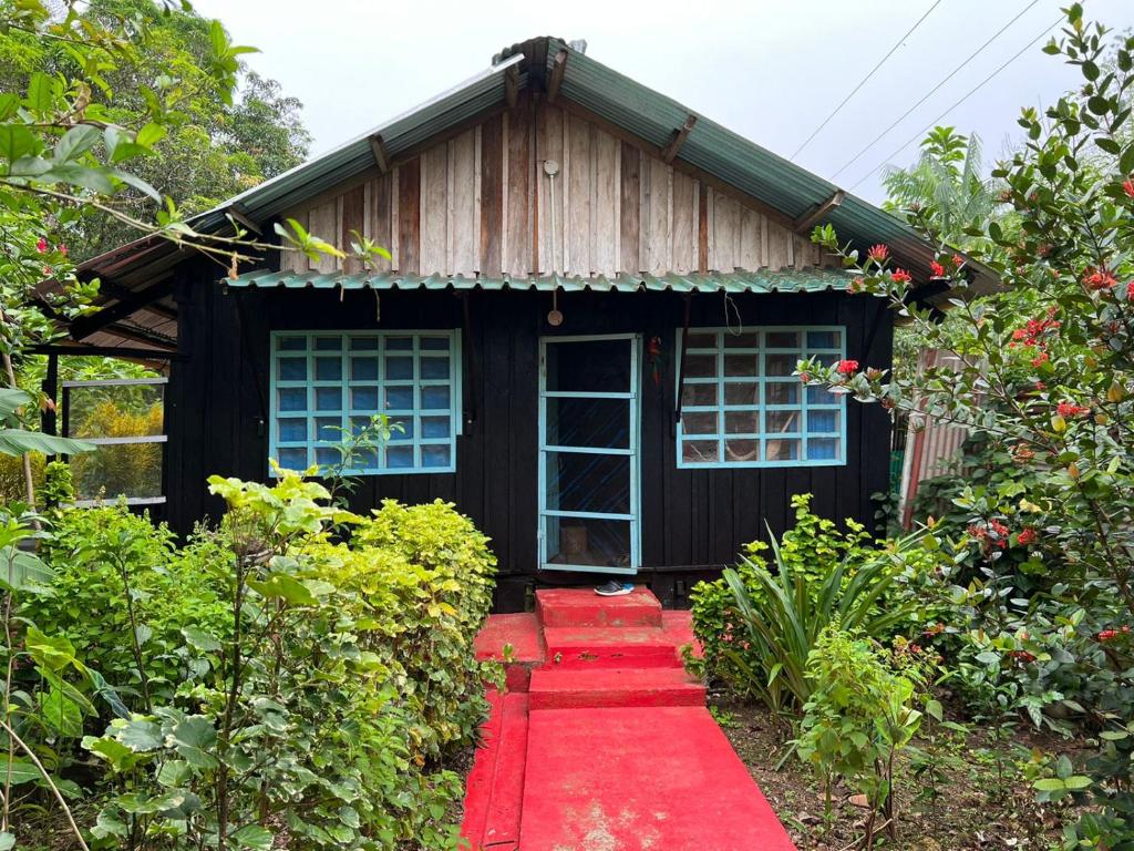 Puerto NariñoFlor de la selva的前面有红地毯的小房子
