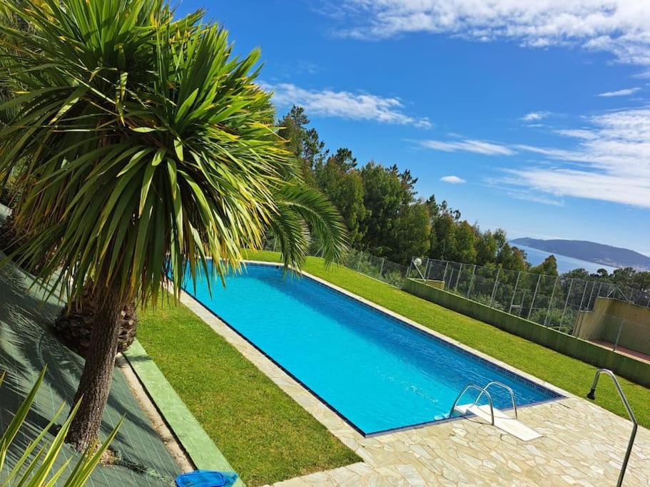 塞埃APARTAMENTO ESTORDE - COSTA DA MORTE的旁边是一座棕榈树的大型游泳池