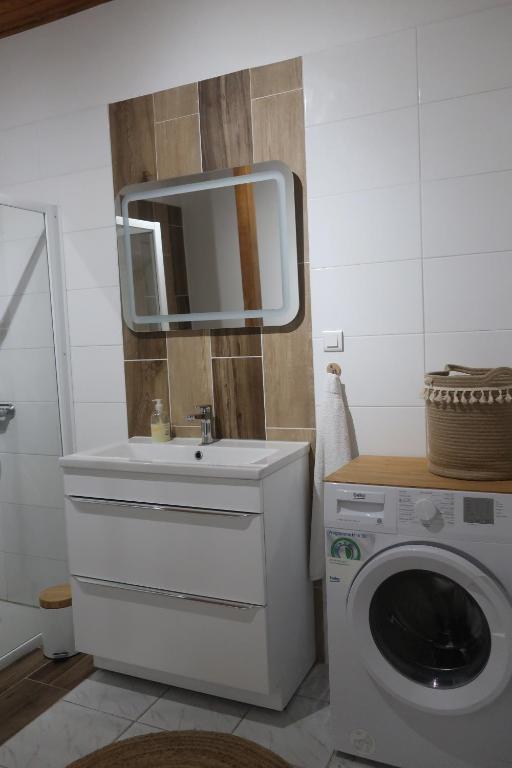 米米藏Côté lac的一间带洗衣机和镜子的浴室