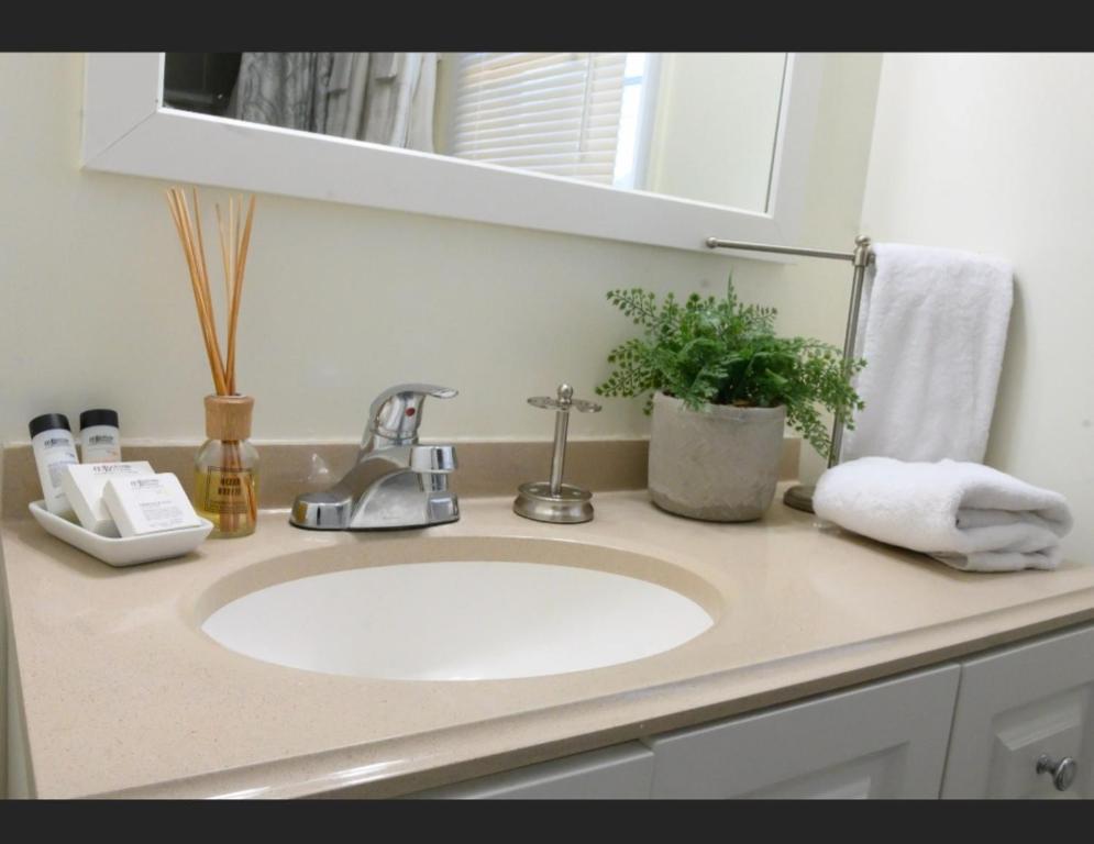 欧文顿GREAT 2 bedroom Condo,FREE parking,easy commute.的浴室的柜台设有水槽和镜子