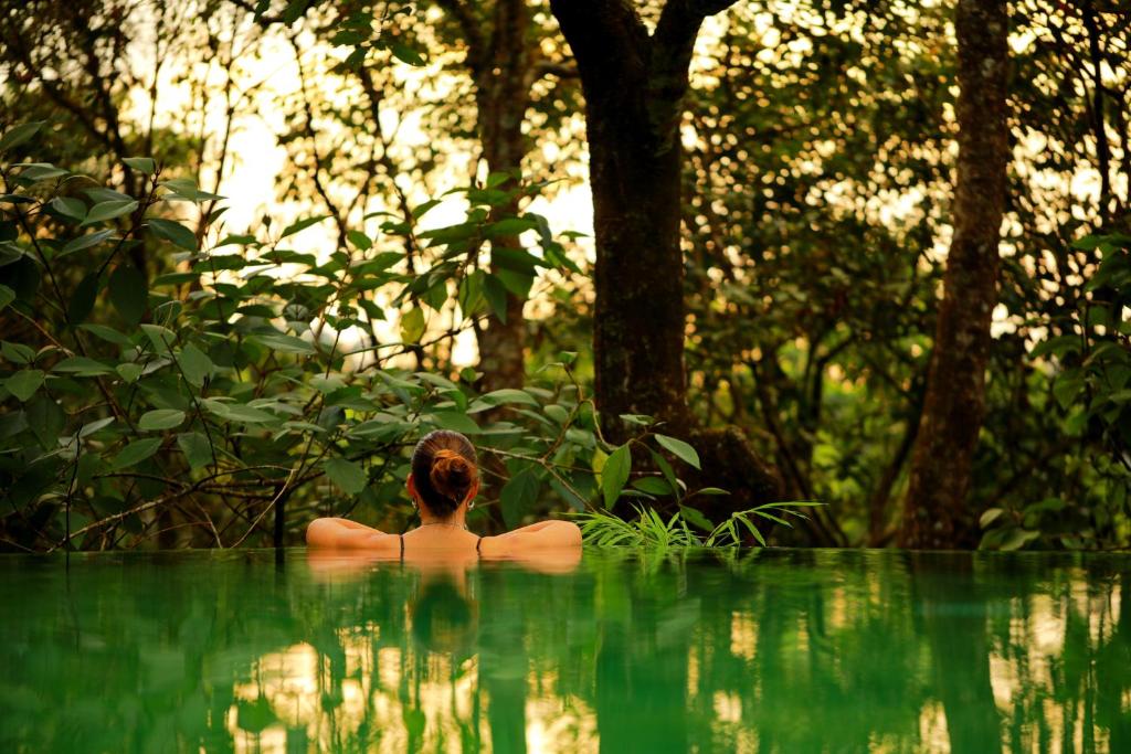 维特利Wayanad Wild - Rainforest Lodge by CGH Earth的森林中水库中的女人