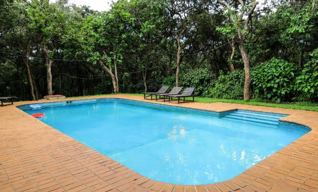 利隆圭兀兰利隆圭酒店的一个带长凳和野餐桌的游泳池