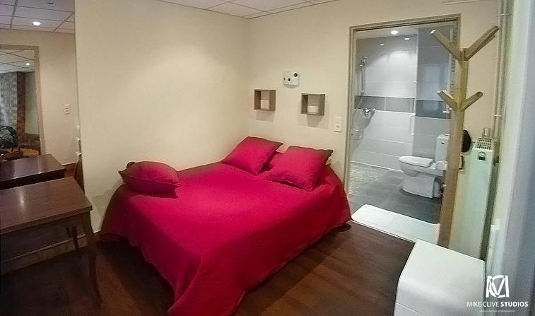 巴黎加利康福特酒店的一间卧室配有一张大粉色床和一间浴室