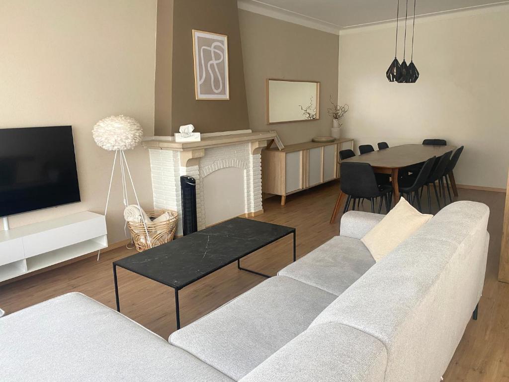 安特卫普Cosy and Fully Equipped Apartment near Antwerp的带沙发、电视和桌子的客厅