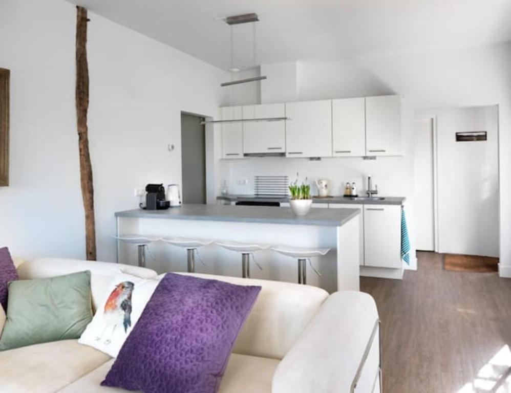 KlarenbeekHet Appense veld的带沙发的客厅和厨房
