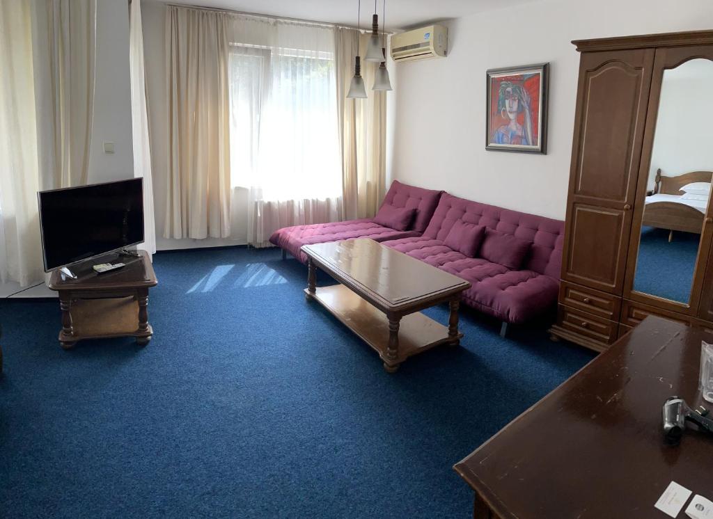 索非亚Hotel Rotasar的客厅配有紫色沙发和电视