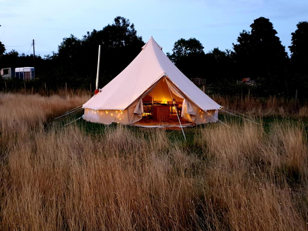 滨海索尔特本Luxury 5m bell tent with log burner near Whitby的草丛中的钟形帐篷