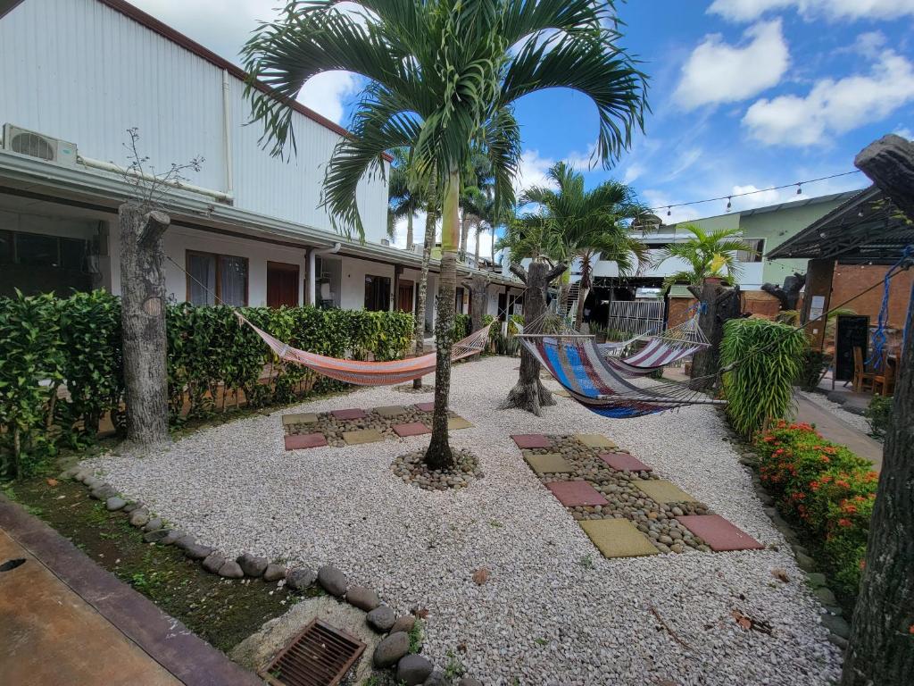 福尔图纳Arenal Poshpacker的一个带吊床和棕榈树的庭院和一座建筑