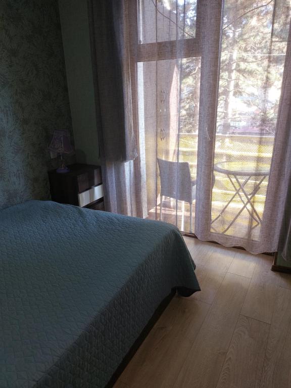 博尔若米Londa的一间卧室设有一张床和一个大窗户