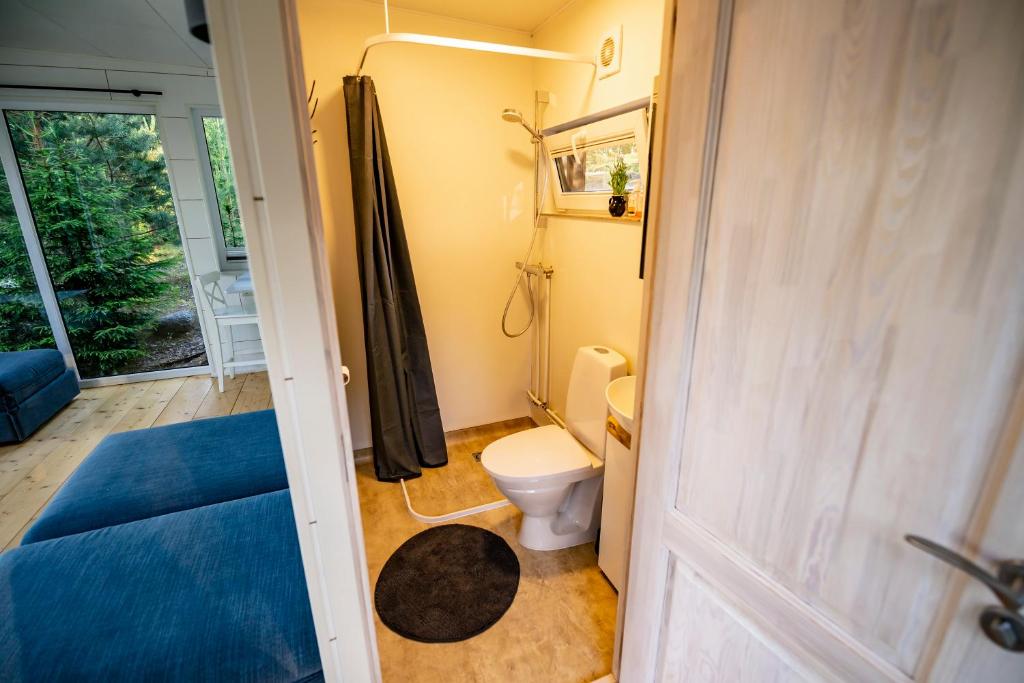 SeceLapsu ciems的一间带卫生间和淋浴的小浴室