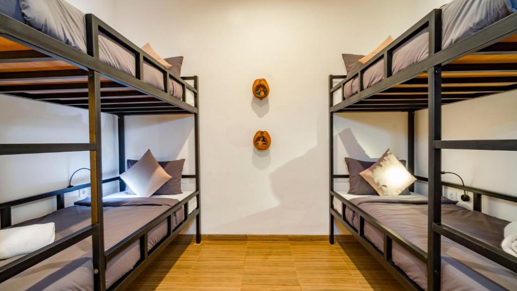 乌布Aura Dormitory House Ubud的旅馆内带两张双层床的客房