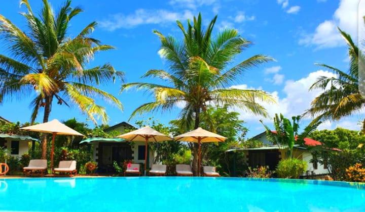 迪亚尼海滩迪亚尼海滩非洲梦别墅酒店的一座棕榈树和遮阳伞的游泳池