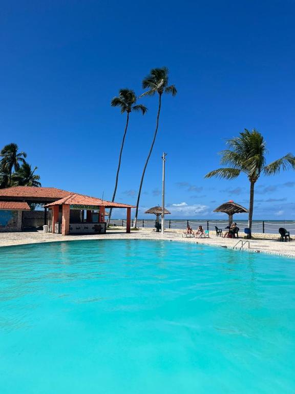 马拉戈日MARAGOGI FLAT BEIRA MAR的棕榈树海滩旁的游泳池