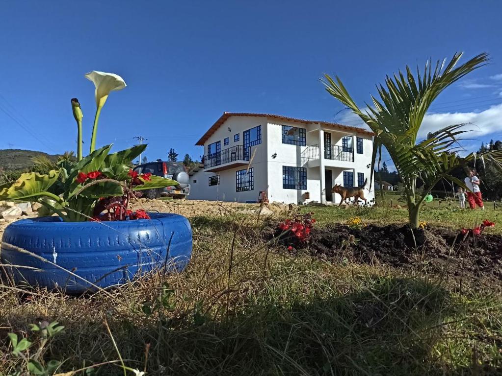 瓜塔维塔Hospedaje Casa Blanca的棕榈树和蓝色桶子的房子