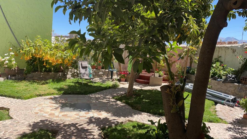 卡瓦纳科德Las Palmeras Eco Hostel的一座花园,花园内有树木和石头人行道