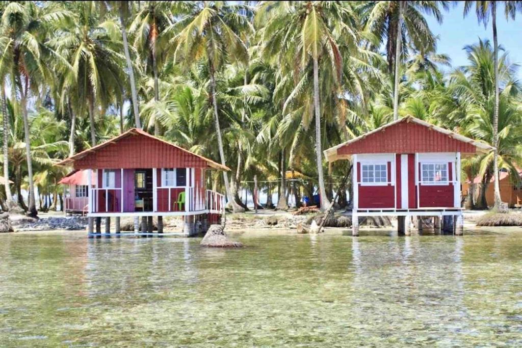 WaisalatupoPrivate Over-Water Cabin on paradise San Blas island的棕榈树前水中两座房子