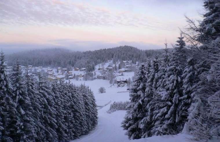 莫尔比耶Style of Industry的树木覆盖的雪覆盖森林的空中景观