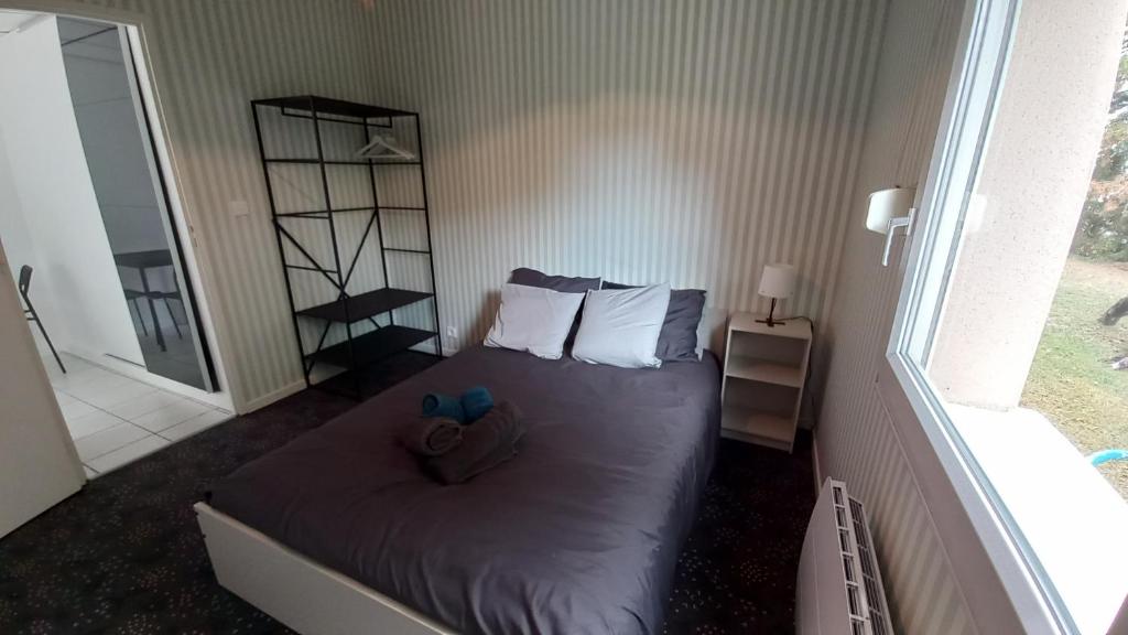 第戎Studio Privé Dijon的一间小卧室,配有带两个枕头的床