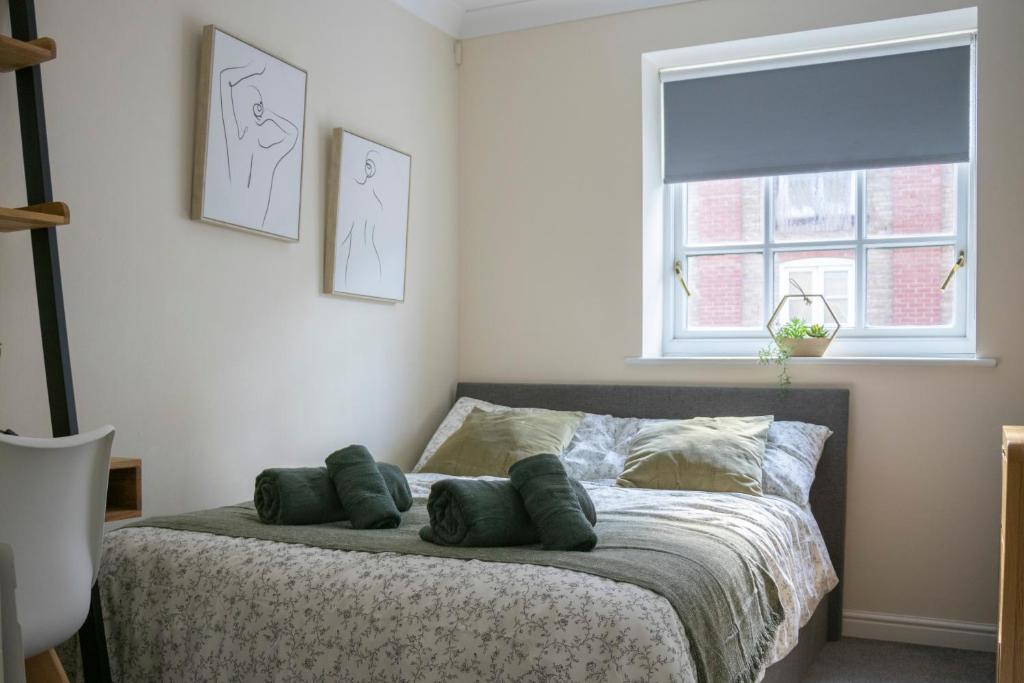 科尔切斯特Lovely 3-bedroom apartment in Colchester的卧室配有带枕头的床铺和窗户。