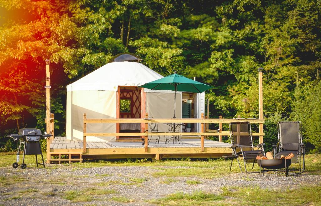 Roan MountainEco Friendly Glamping Yurt In Roan Mountain Tn的圆顶帐篷,在田野上配有绿色雨伞