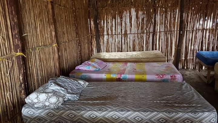 Playón ChicoArridub Island-Iguana的茅草房内设有两张床,
