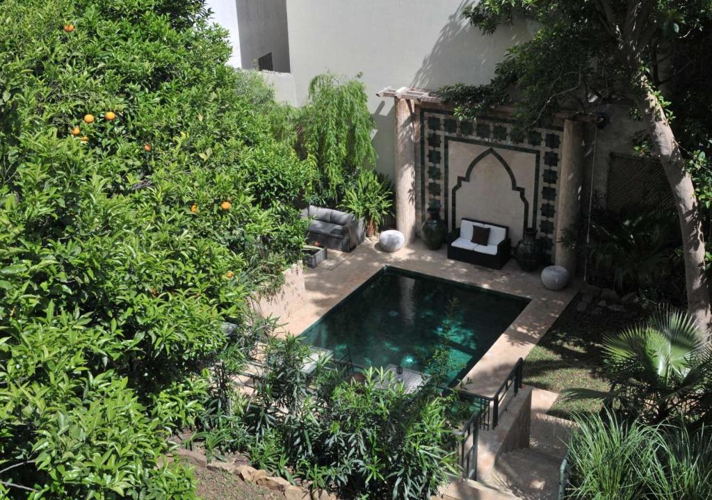 丹吉尔丹吉尔酒店的花园中的一个游泳池