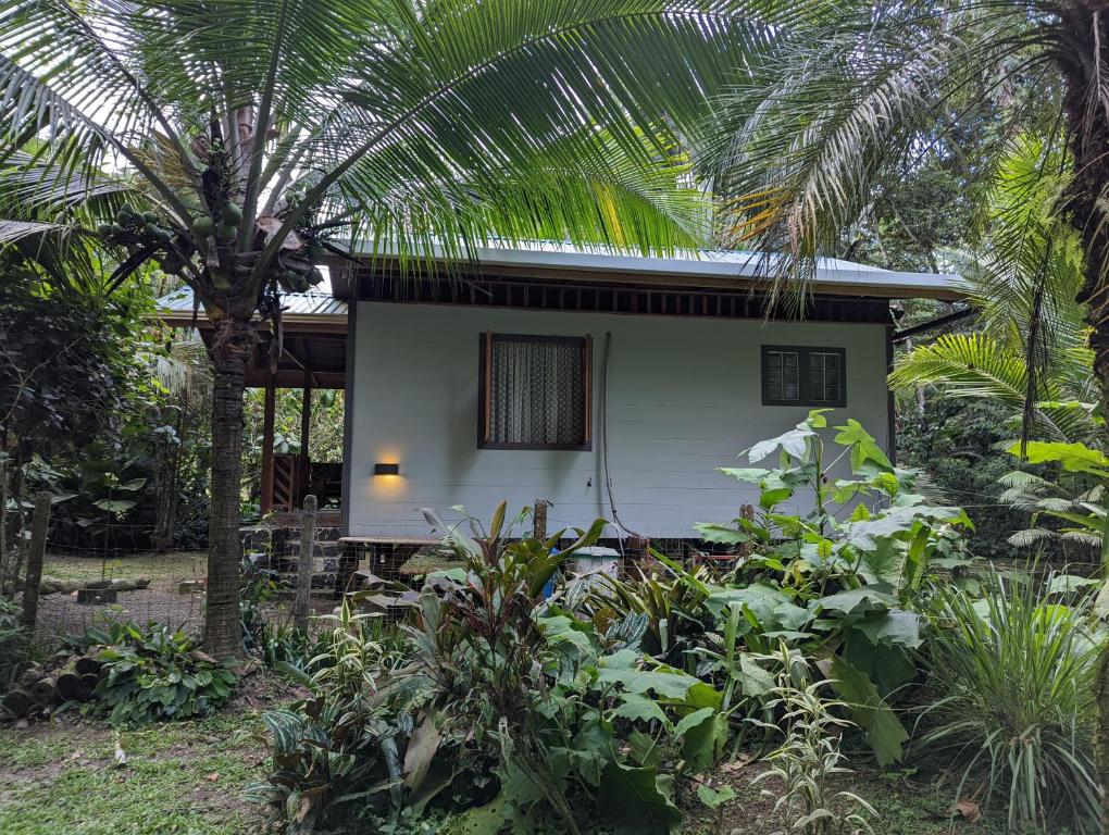 科克莱斯Casita Bribri at Margarita Hills的前面有棕榈树的房子