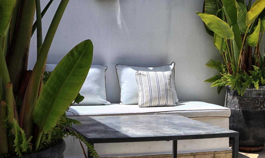 拉巴特Riad Dar Zen的白色沙发,配有两个枕头和植物