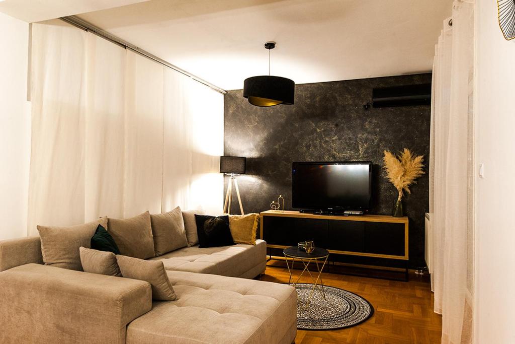 奥西耶克ARENA的带沙发和电视的客厅
