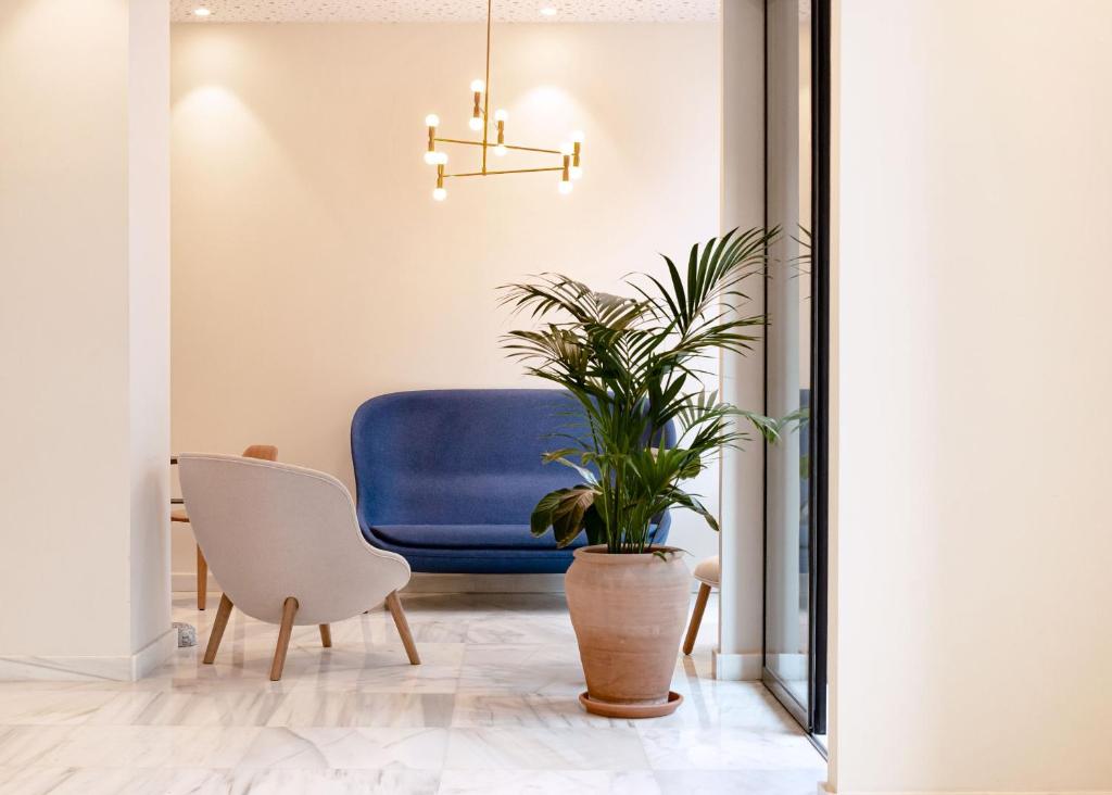 布尔戈斯Hotel Boreal Viento Norte的一间客厅,配有蓝色椅子和盆栽植物